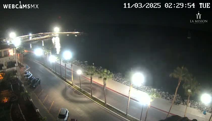 A nighttime, high-angle view shows a paved road next to a body of water, lined with palm trees and streetlights, with parked cars visible along the road and a pier in the distance.