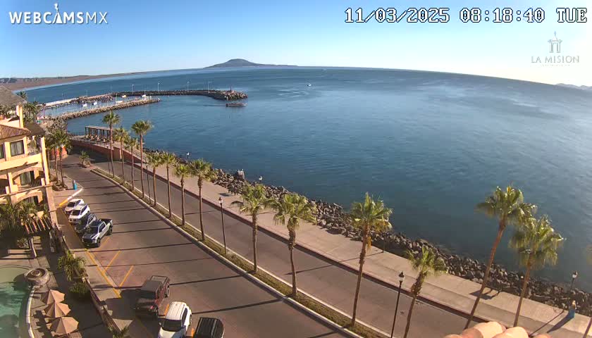 A seaside road lined with palm trees overlooks a calm bay on a sunny day.