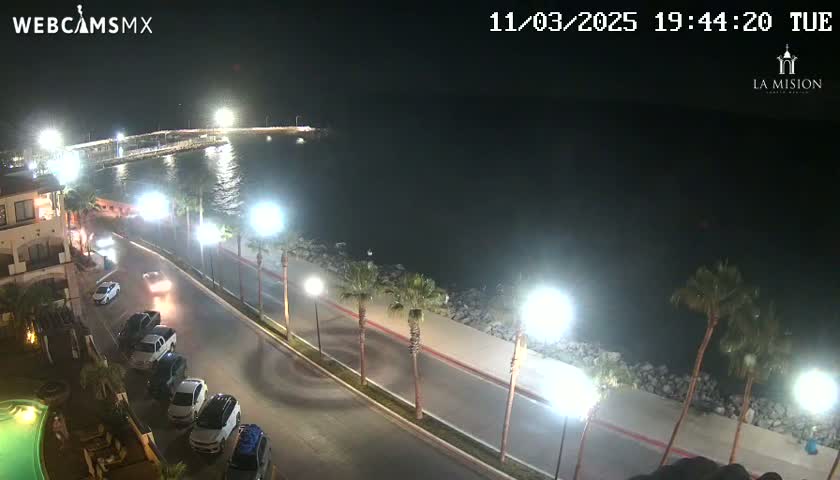A nighttime view of a coastal road with parked cars, palm trees, and a calm body of water next to a brightly lit pier.