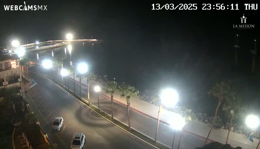 A nighttime view of a coastal road lined with palm trees and streetlights, overlooking a calm body of water with a pier in the distance.