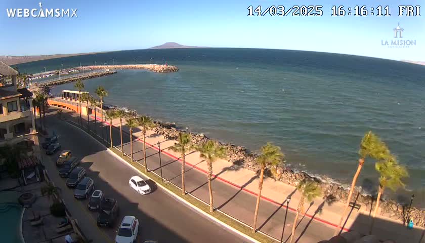 A sunny, seaside view shows a calm ocean, a paved road lined with palm trees, and parked cars next to a building.