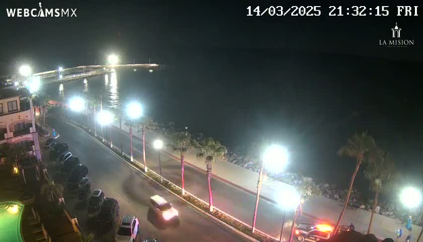 A nighttime coastal scene shows a calm body of water, a paved road lined with palm trees and streetlights, cars parked along the road, and several vehicles driving.