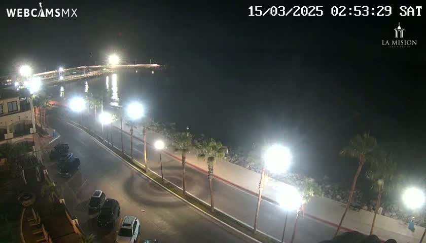 A nighttime, high-angle view shows a calm body of water next to a palm tree-lined roadway with parked cars and bright streetlights illuminating the scene.