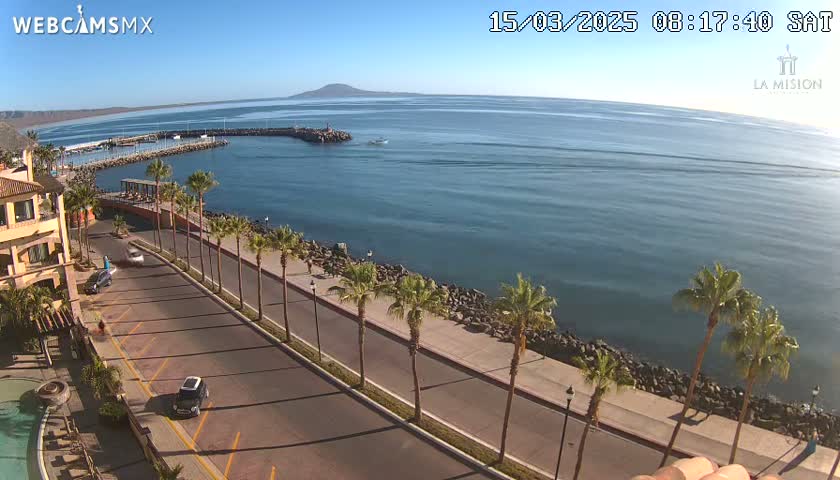 A seaside road lined with palm trees overlooks a calm ocean under a clear blue sky.