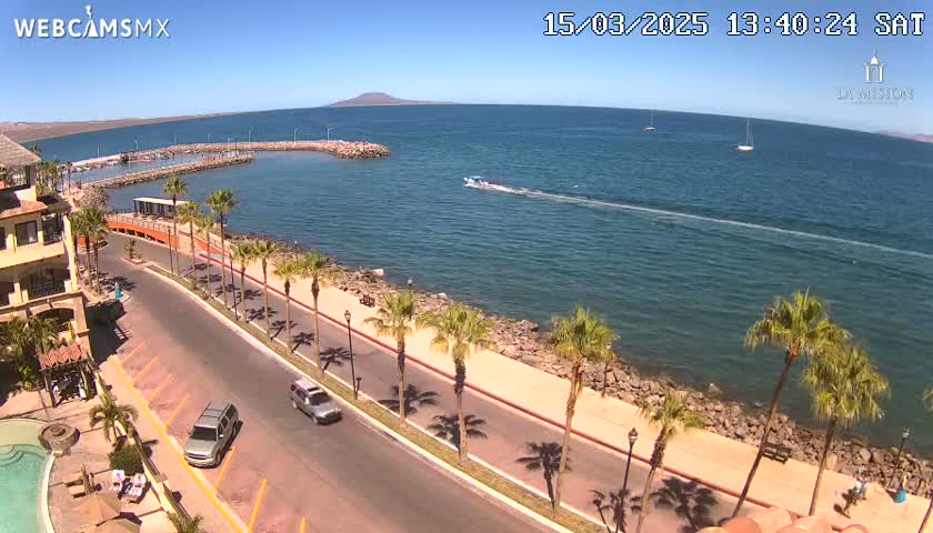 A sunny seaside road lined with palm trees overlooks a calm bay with a few boats, a small marina, and a distant mountain.