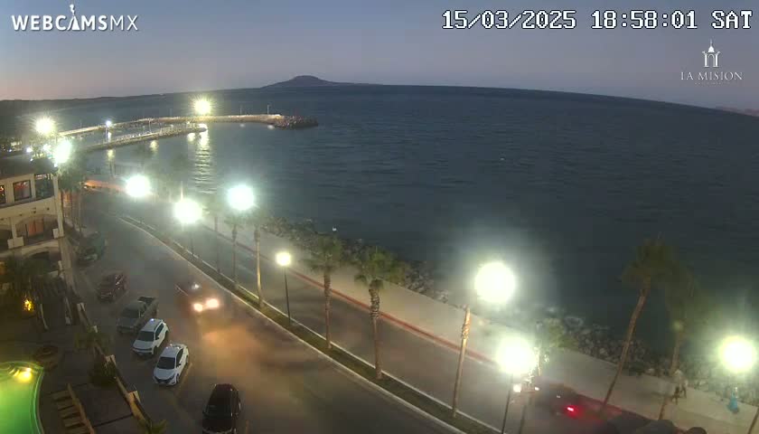 A nighttime, seaside view shows a calm body of water, a paved road lined with palm trees and streetlights, and several vehicles driving along the road.