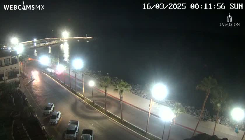A nighttime, coastal road scene shows cars parked and driving along a waterfront road lined with palm trees and bright lights, under clear skies.