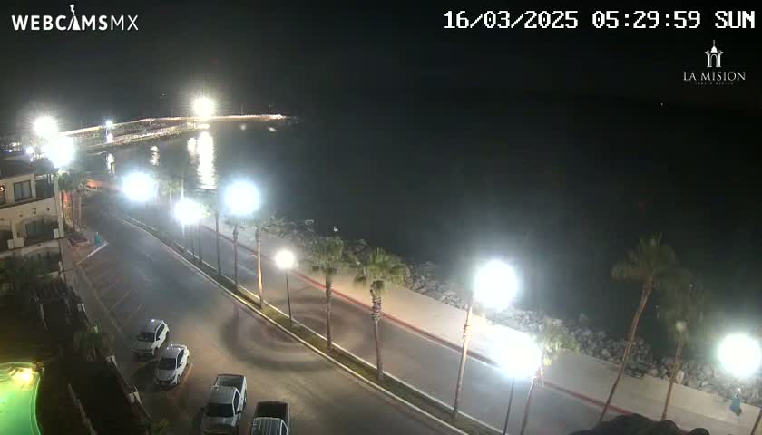 A nighttime, coastal scene shows a paved road lined with palm trees and bright lights, leading to a pier illuminated in the distance over dark water.