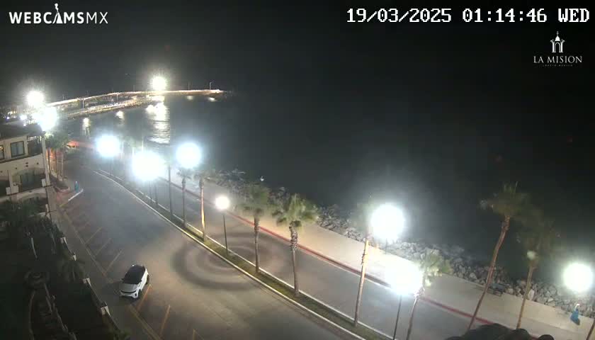 A nighttime, brightly lit coastal road curves alongside a calm body of water, with palm trees lining the roadside and a parked car visible.