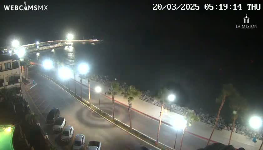A nighttime view of a coastal road with parked cars, palm trees, and bright lights overlooking a calm body of water.