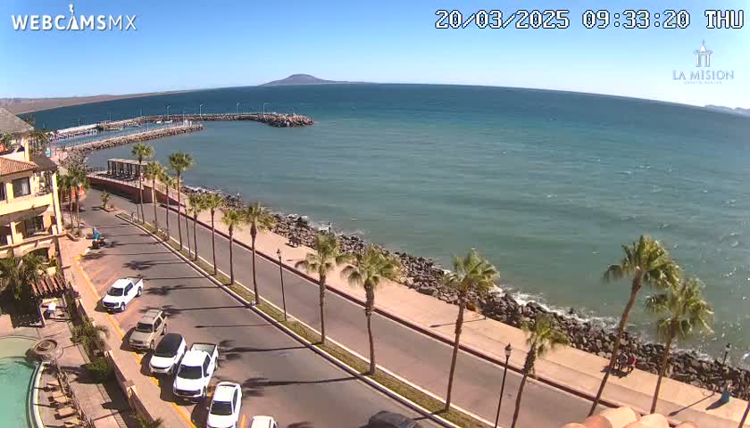 A coastal road lined with palm trees curves along a calm ocean on a sunny day, with cars parked along the roadside and a small harbor visible in the distance.