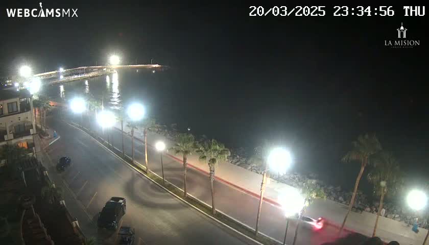 A nighttime, seaside view of a city street with palm trees lining a waterfront road, brightly lit by streetlights, and a few cars driving along it.