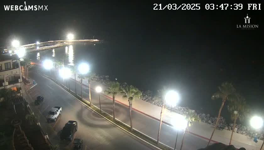 A nighttime, overhead view of a coastal road lined with palm trees and streetlights, with a calm body of water and a pier in the background.