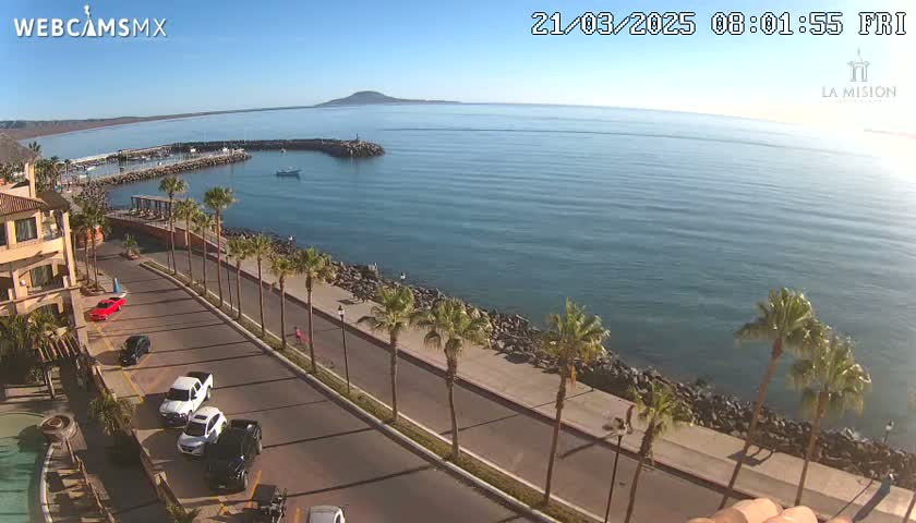 A seaside road lined with palm trees overlooks a calm ocean with a distant island under a clear blue sky.