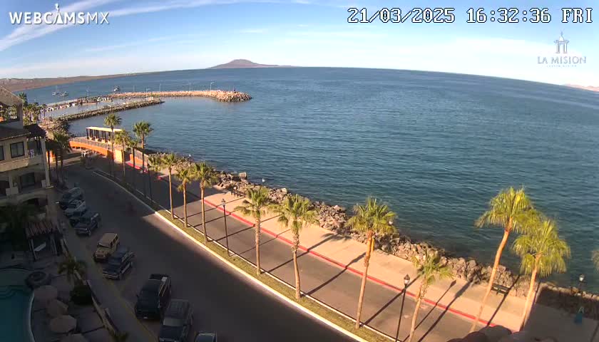 A sunny day overlooking a calm ocean bay with palm trees lining a paved road next to a rocky shoreline, and cars parked along the road.