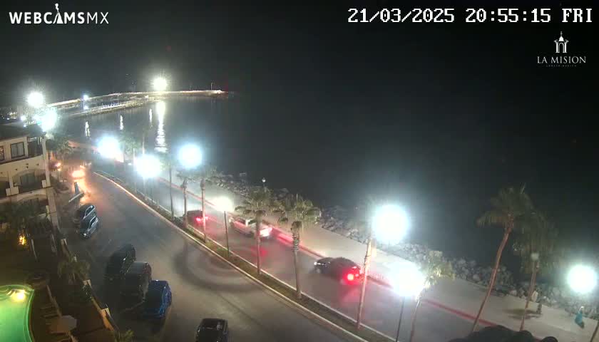 A nighttime, high-angle view of a coastal road with cars driving past palm trees and buildings near a body of water.