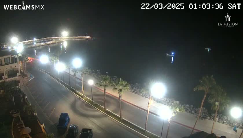 A nighttime, brightly lit coastal road curves along a calm body of water, lined with palm trees and parked cars.