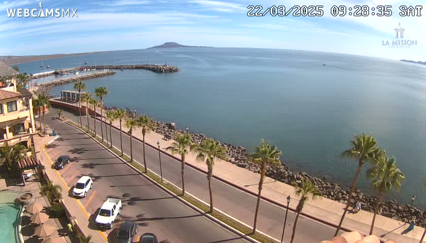 A coastal road lined with palm trees curves along a calm ocean, with a small marina and distant island visible under a sunny sky.