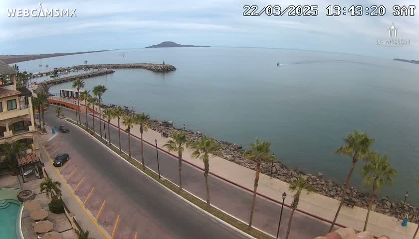 A coastal road lined with palm trees curves along a calm bay, with a small marina and a distant island visible under a cloudy sky.