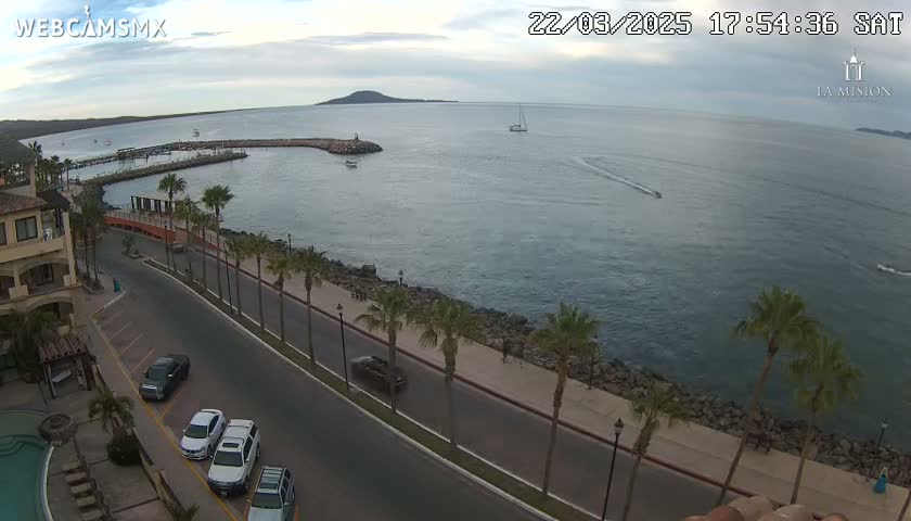 An overcast day shows a seaside town with palm trees lining a paved road next to a calm bay, where several boats and vehicles are visible.