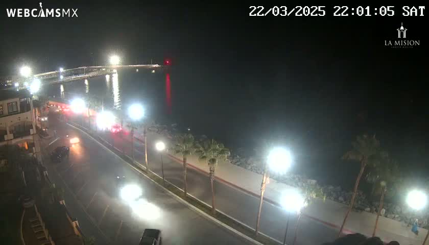A nighttime, slightly hazy view of a coastal road with cars driving past palm trees and a body of water with a pier in the distance.
