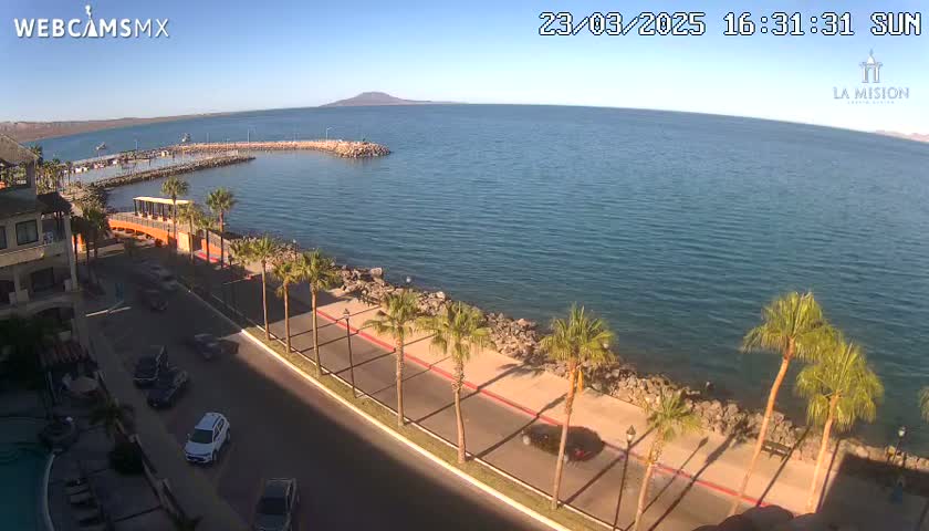 A sunny coastal scene shows a calm body of water with a small harbor and a paved road lined with palm trees leading to a building.