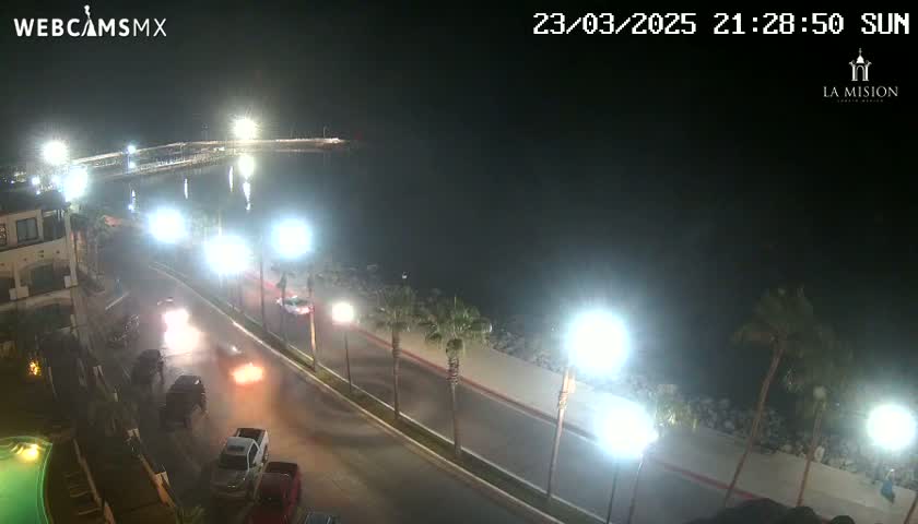 A nighttime coastal scene shows a roadway with several cars driving along a waterfront, illuminated by bright streetlights under hazy conditions.