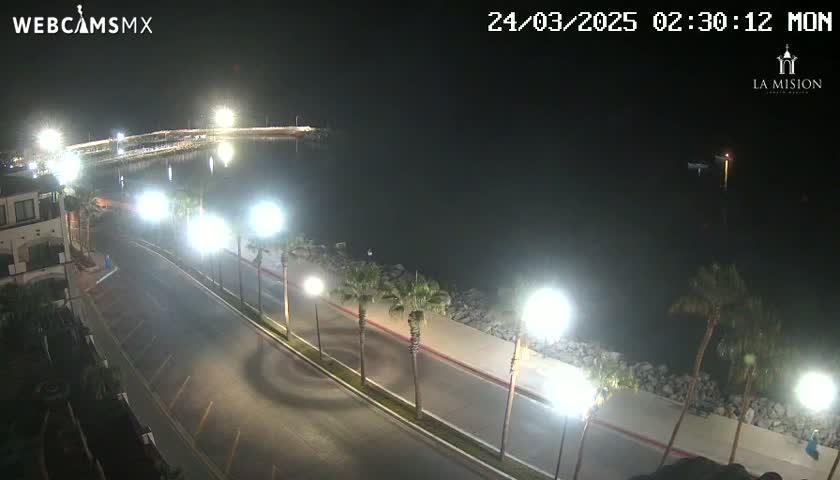 A nighttime view of a calm body of water next to a palm tree-lined road with streetlights illuminating the scene.