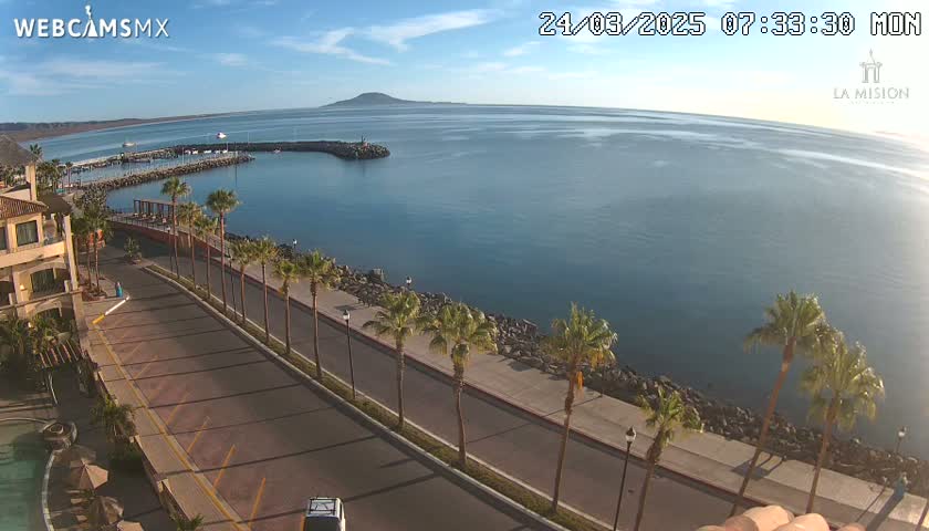 A seaside road lined with palm trees overlooks a calm bay and a distant mountain under a clear, sunny sky.