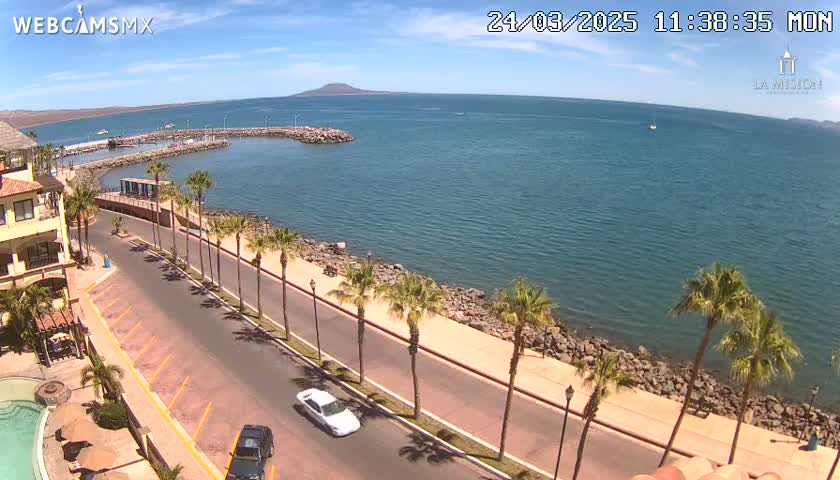 A sunny coastal scene shows a road lined with palm trees beside a calm ocean, with a small marina and distant mountains visible.
