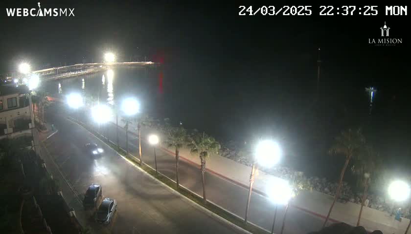 A nighttime view of a coastal road with cars, palm trees, and bright lights illuminating a calm body of water.
