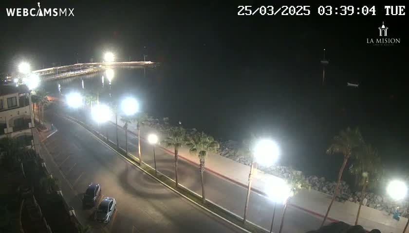 A nighttime, high-angle view of a waterfront road lined with palm trees and bright streetlights, next to a dark body of water with a pier in the distance.