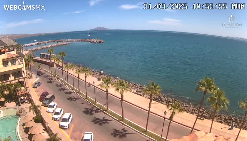 A sunny seaside town with palm trees lining a road next to a calm ocean and a small harbor.