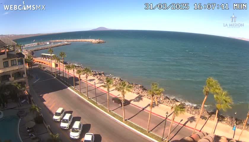 An aerial view shows a calm ocean next to a paved road lined with palm trees and parked cars, under a sunny sky.