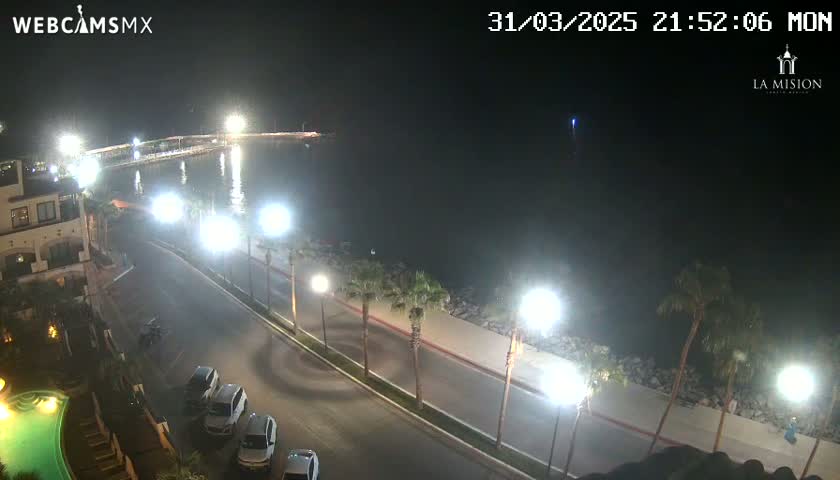A nighttime view of a waterfront road with parked cars, palm trees, and bright lights illuminating the scene, overlooking a calm body of water.