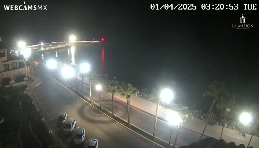 A nighttime view of a coastal road lined with palm trees, cars parked along the side, and a calm body of water beyond a pier.