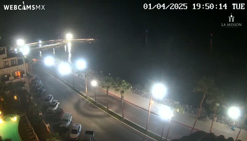 A nighttime, brightly lit seaside road curves alongside a calm body of water, lined with palm trees and parked cars, near a building with a pool.