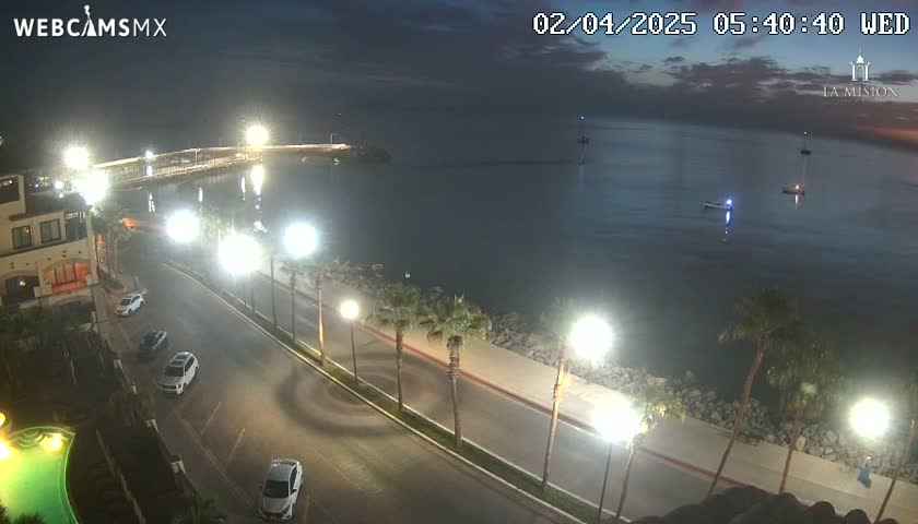 A nighttime, seaside view shows a calm body of water with a few boats, a paved road lined with palm trees and streetlights, and parked cars near a building.