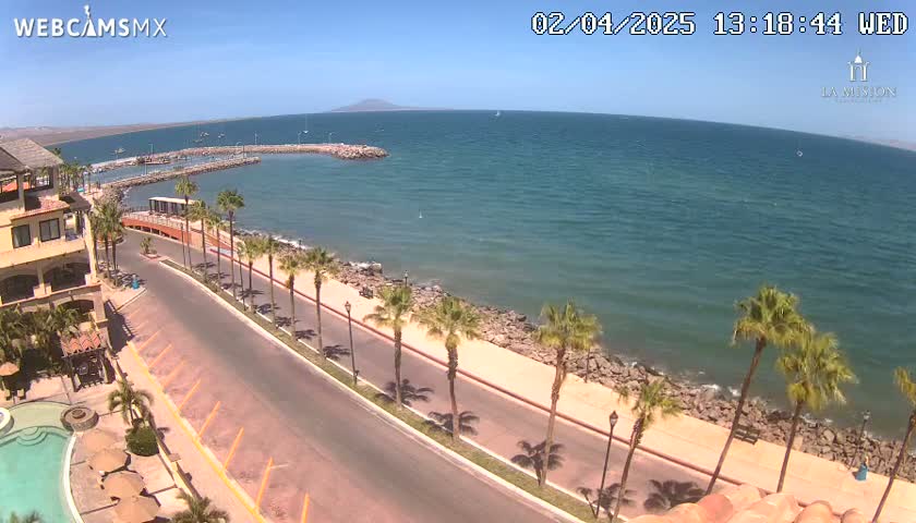 A seaside road lined with palm trees curves along a rocky shoreline, overlooking a calm ocean under a clear, sunny sky.
