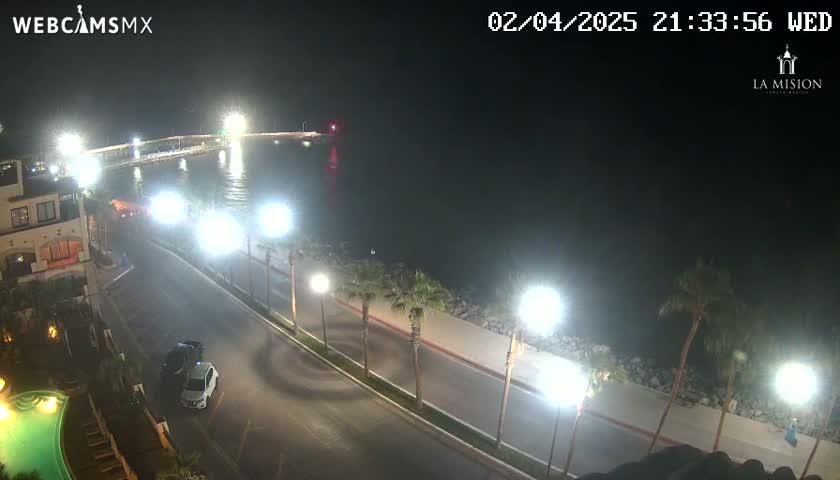A nighttime, overhead view of a coastal road with palm trees lining the side, leading to a pier illuminated by lights over dark water.