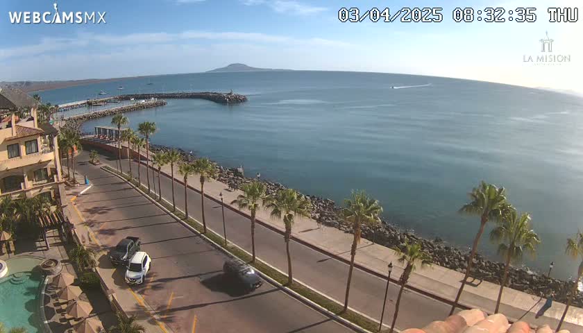 A sunny day overlooks a calm ocean harbor with palm trees lining a paved road next to a resort.