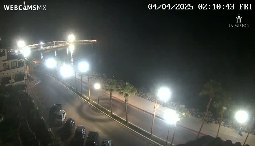 A nighttime, brightly lit seaside road curves along a waterfront, lined with palm trees and parked cars, under a clear, dark sky.