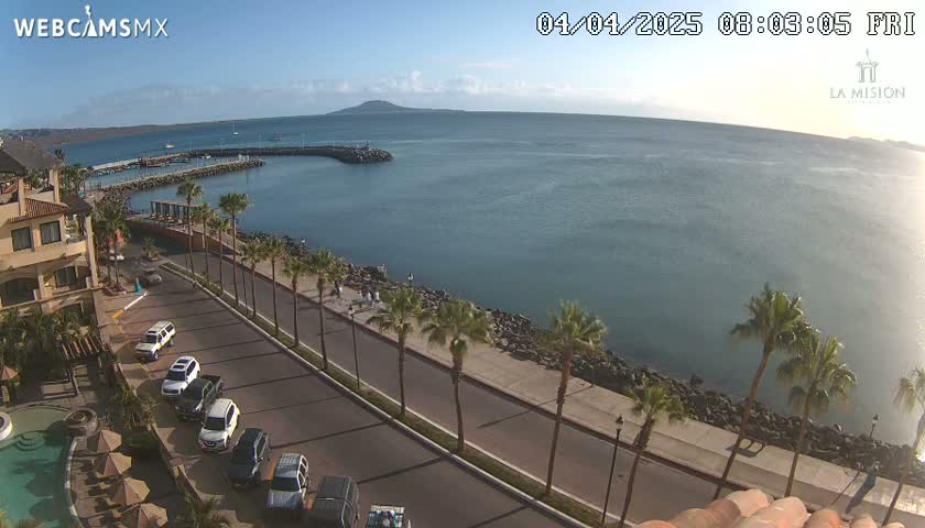 A sunny, coastal scene shows a calm body of water with a distant island, a paved road lined with palm trees next to a resort with a pool, and several cars parked along the roadside.