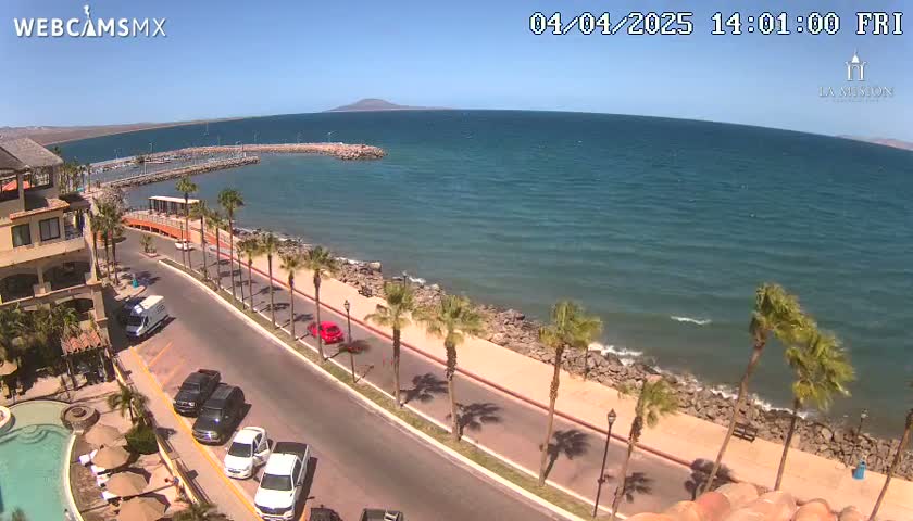 A seaside road curves along a coastline with palm trees, parked cars, and a calm ocean under a clear, sunny sky.