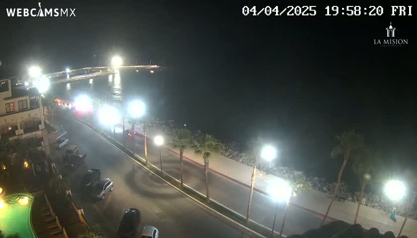 A nighttime, coastal scene shows a roadway with parked cars next to a waterfront with palm trees and lights illuminating the area.