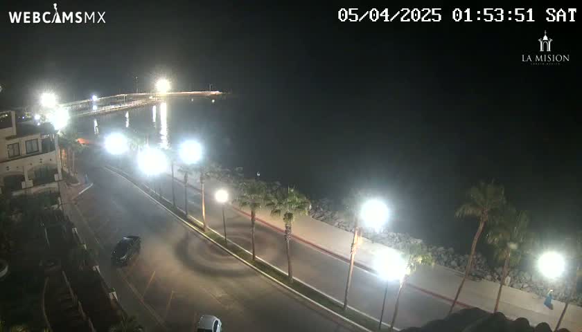 A nighttime, coastal road scene shows palm trees lining a roadway next to a body of water, with a few vehicles visible and lights illuminating the area.