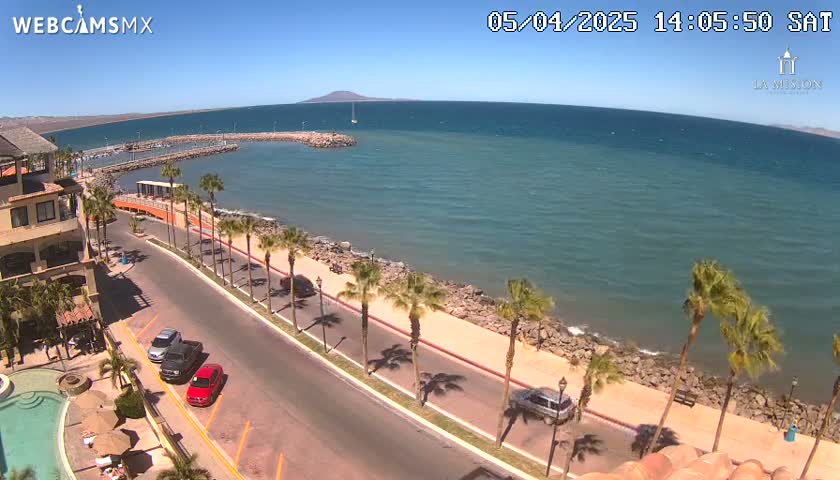A seaside road lined with palm trees curves along a rocky shore, overlooking a calm ocean under a clear blue sky.