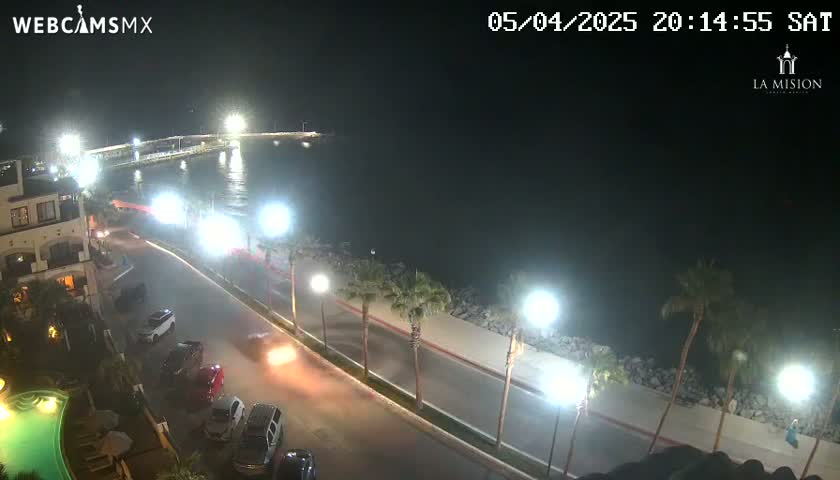 A nighttime view of a coastal road lined with palm trees and parked cars, overlooking a calm body of water with a pier in the distance under a clear sky.