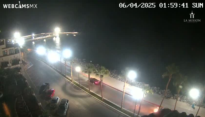 A nighttime view of a coastal road with parked cars and palm trees lining a waterfront, under a clear sky.