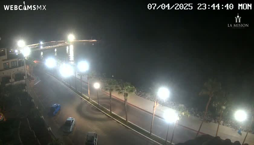 A nighttime, high-angle view of a waterfront road with palm trees, streetlights, and a few cars, overlooking calm water.